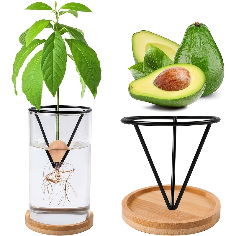 Net Pot 3 Inch - กระถางทรงกรวยแบบใส 2 ชิ้น สำหรับปลูกอะโวคาโดและต้นกล้า กระถางแขวนน้ำหนักเบาสำหรับสวนในร่ม/กลางแจ้ง
