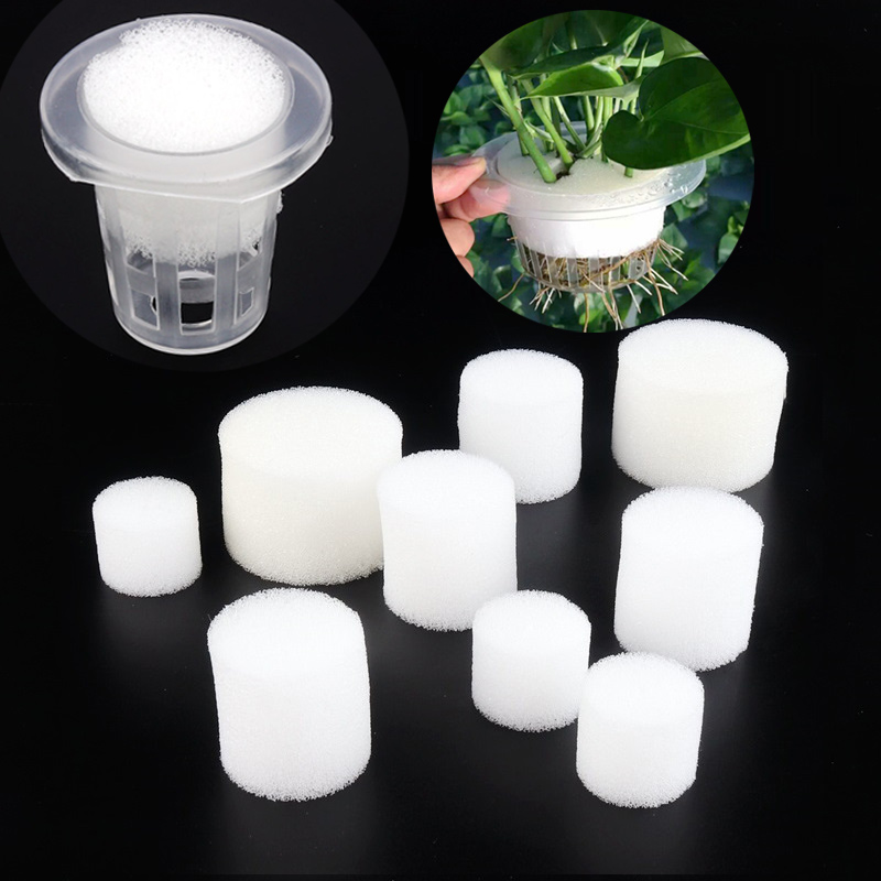 Net Pot 3 Inch - 50Pcs สีขาวถ้วยตาข่ายฟองน้ำสวนผัก Soilless การเพาะปลูก Grow Ing