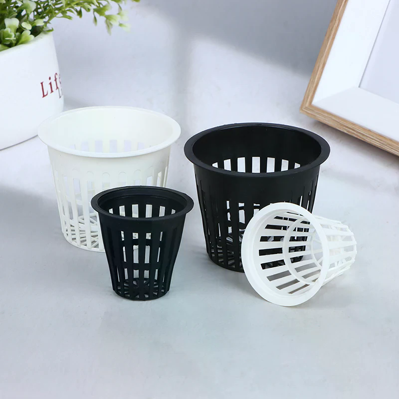 กระถางตาข่ายปลูกกล้วยไม้แบบไฮโ - Net Pot 3 Inch บทวิจารณ์และราคา