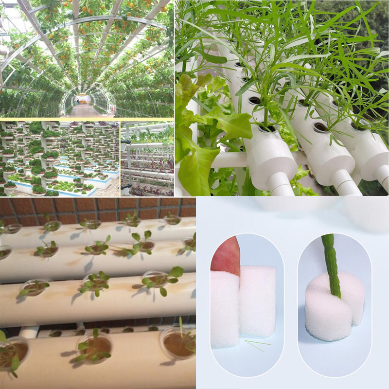 8 ขนาดเรือนกระจก Soilless ตาข่ - Net Pot 3 Inch บทวิจารณ์และราคา