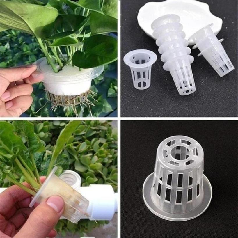 5 ชิ้นพลาสติกพลาสติกตาข่ายรูพร - Net Pot 3 Inch บทวิจารณ์และราคา