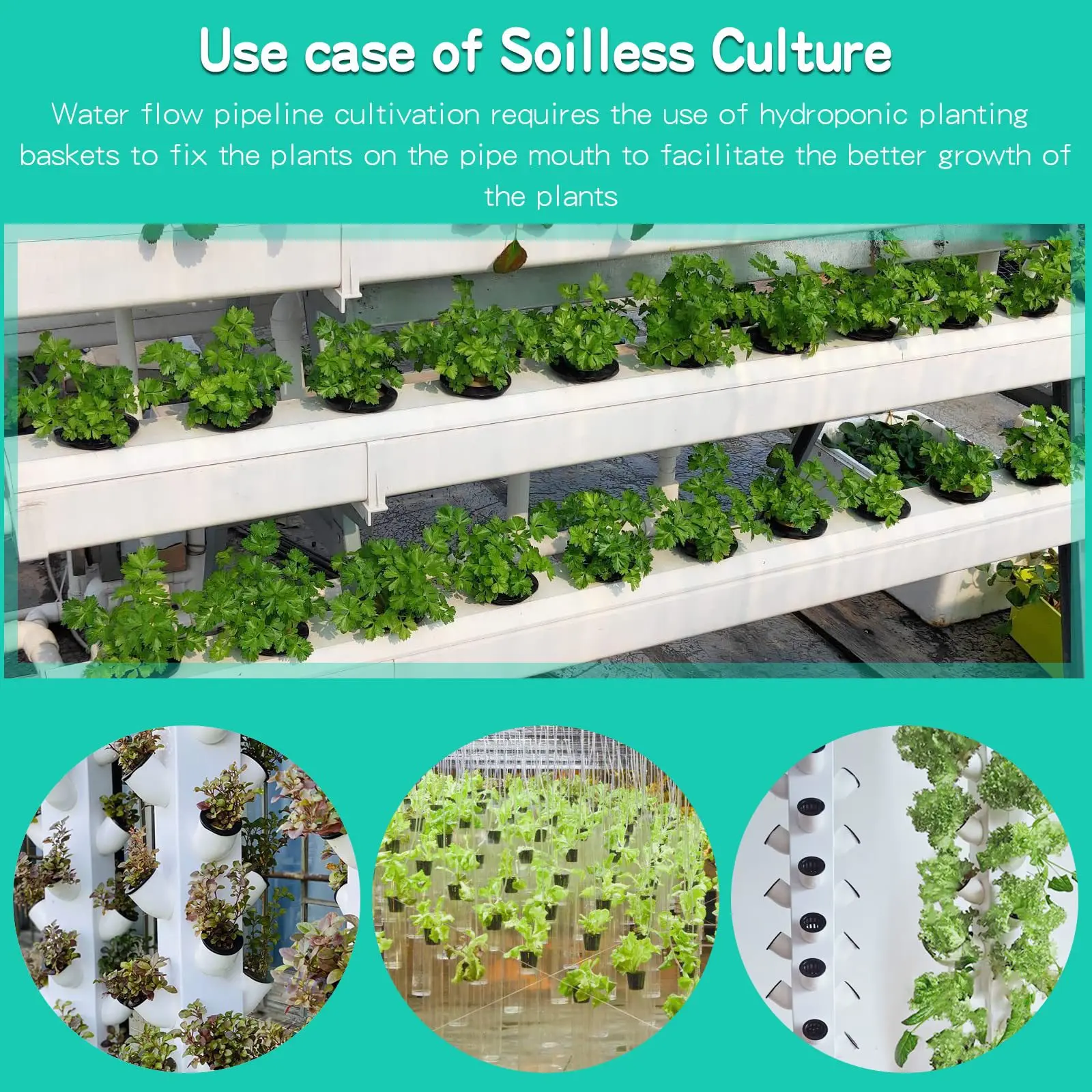 10PCS 3 นิ้ว Hydroponics ถ้วย  - Net Pot 3 Inch บทวิจารณ์และราคา