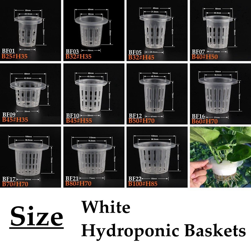 10 ชิ้นสีขาว Hydroponic Soille - Net Pot 3 Inch บทวิจารณ์และราคา