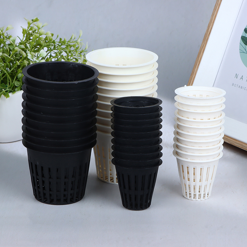 กระถางตาข่ายปลูกพืชแบบไม่ใช้ดิ - Net Pot 3 Inch บทวิจารณ์และราคา